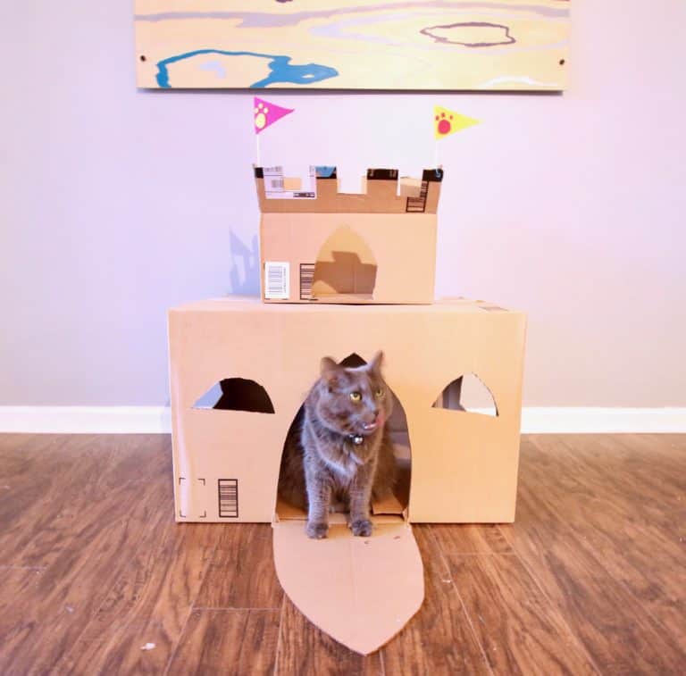 Castle Crafts For Kids - Diy Cardboard Castle For Your Pets