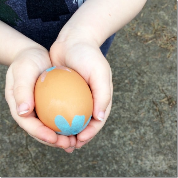 Life Science Activities For Preschoolers - Eggshell Seed Bombs