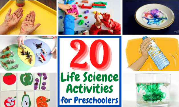 20 Amazing Life Science Activities for Preschoolers