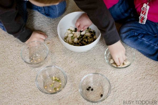 Social Development Activities For Preschoolers - Bean Sort Activity