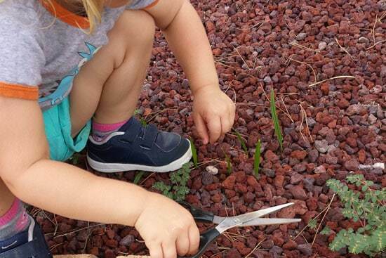 Cutting Activities For Toddlers - Cutting Blades Of Grass