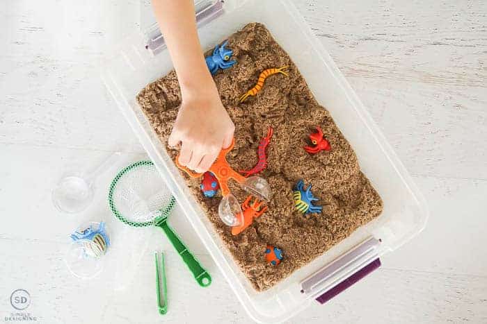 Bug Activities For Toddlers - Diy Insect Sensory Bin
