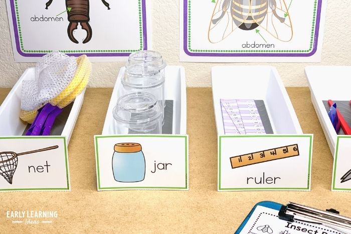 Bug Activities For Toddlers - Make An Entomology Lab