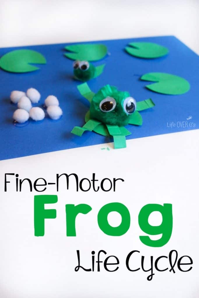 Frog Crafts for Toddlers - Frog Life Cycle Craft