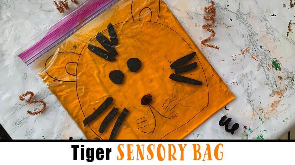 Tiger Activities For Preschoolers - Tiger Activities - Sensory Bag For Preschoolers